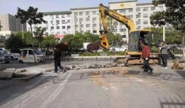 长医新校区建设最新爆料,现代化校园崛起，未来教育新地标